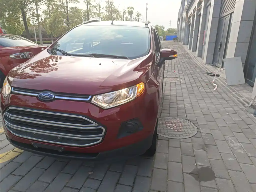 Ford Ecosport 2017 — фото 18