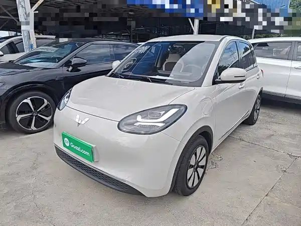 Wuling Bingo 2024