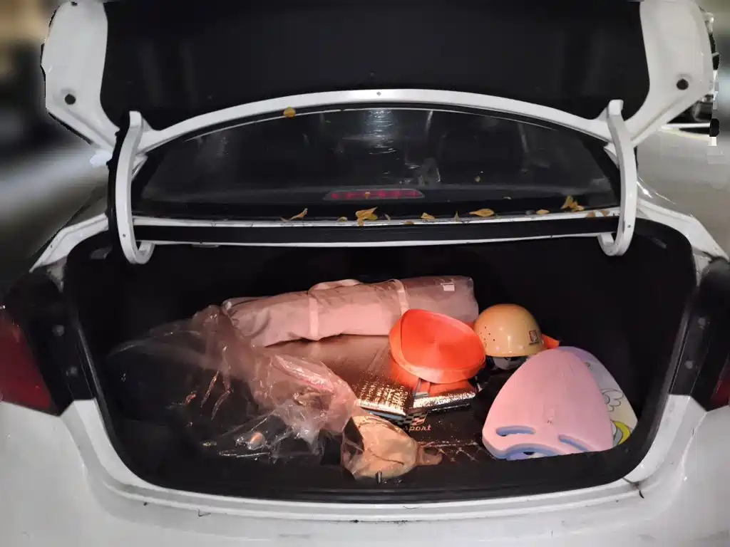 Hyundai Mistra 2017 — фото 15