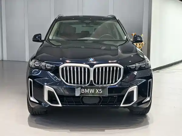 BMW X5 2024