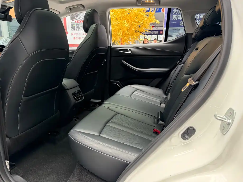 GAC Trumpchi GS4 2022 — фото 10