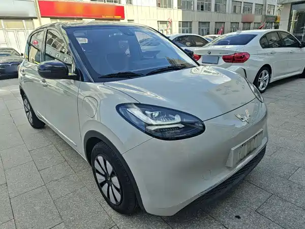 Wuling Bingo 2023