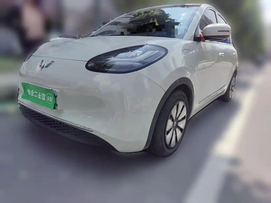 Wuling Bingo 2024
