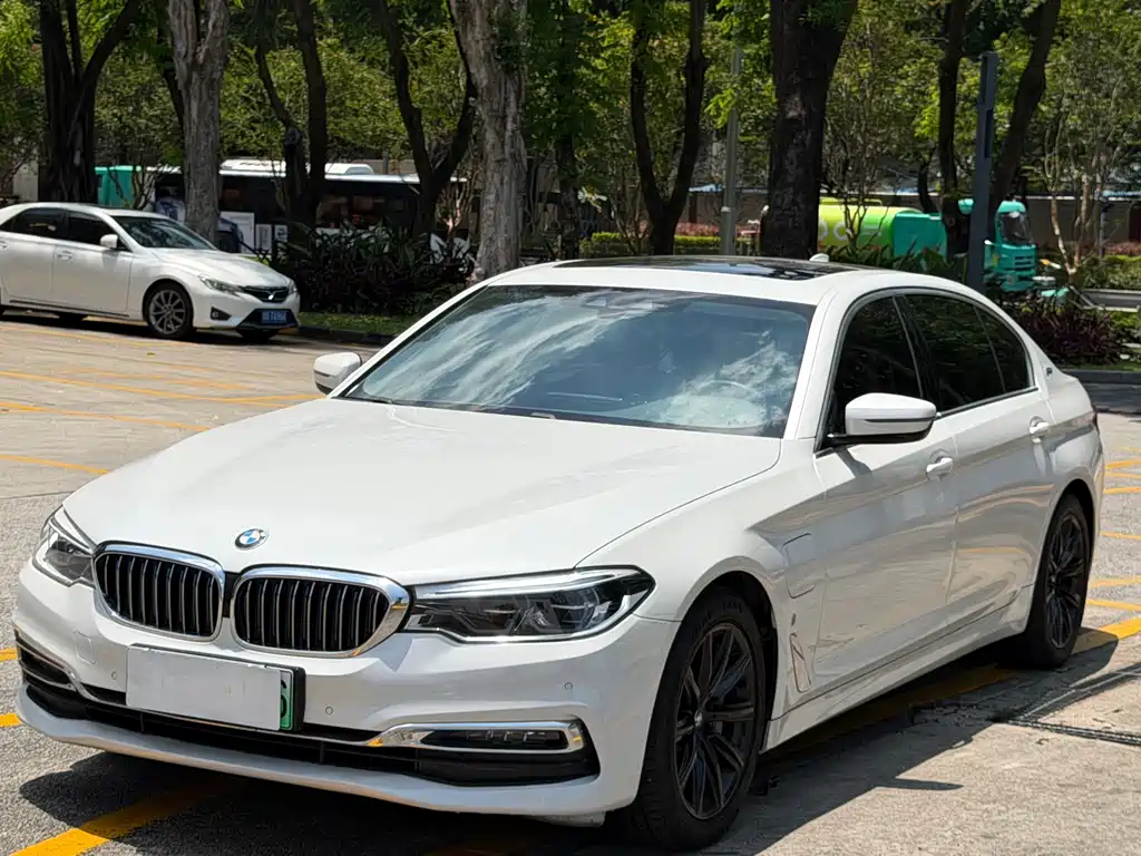 BMW 5 Series New Energy 2018