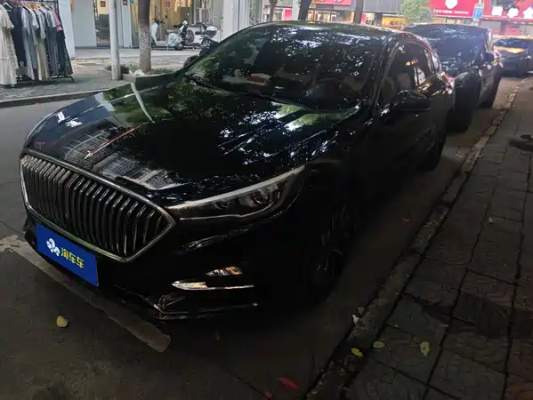 Hongqi H5 2020
