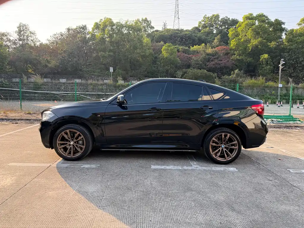 BMW X6 2019 — фото 14