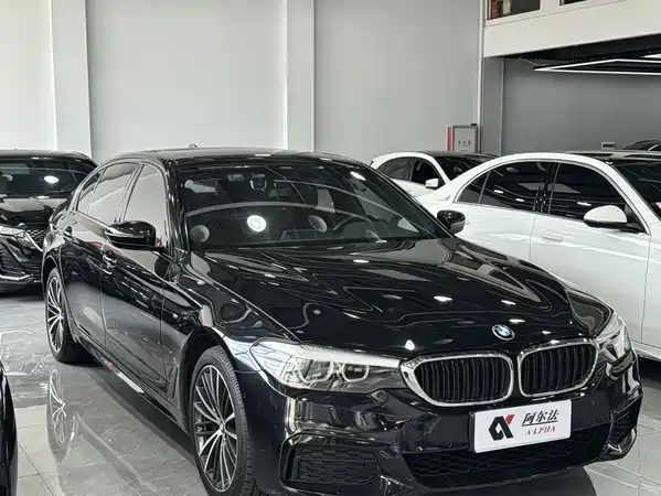 BMW 5 Series 2019