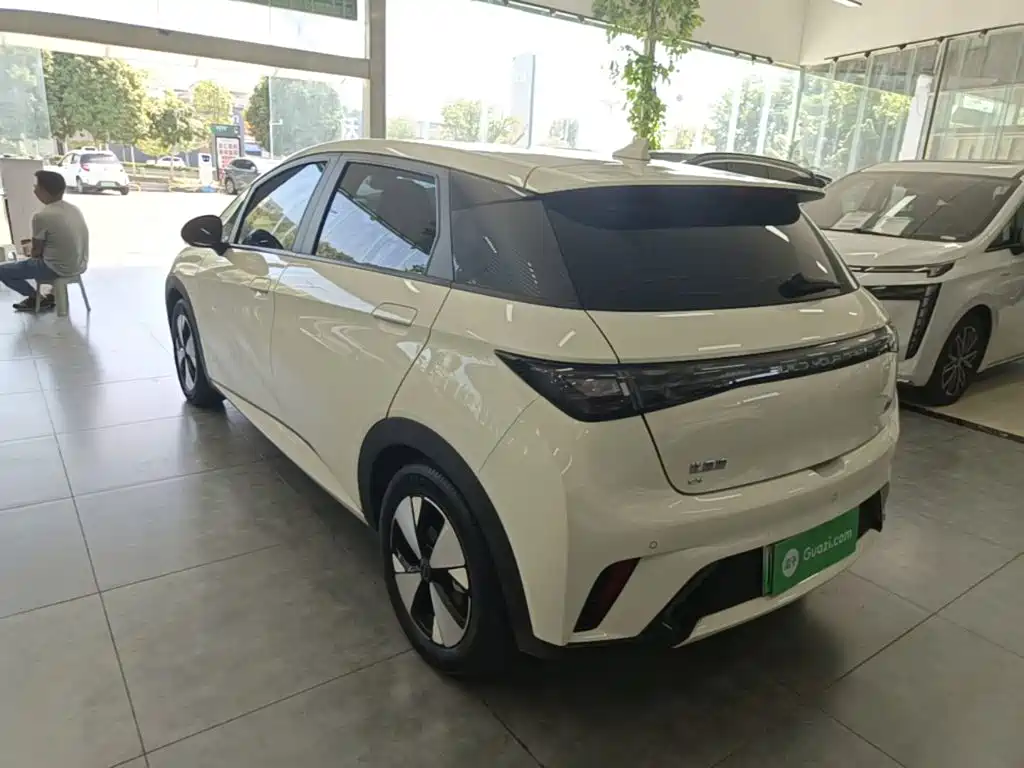 BYD Dolphin 2023