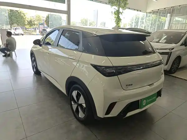BYD Dolphin 2023