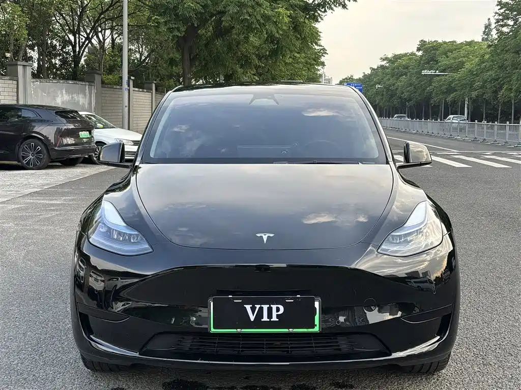 Tesla Model Y 2023 — фото 2