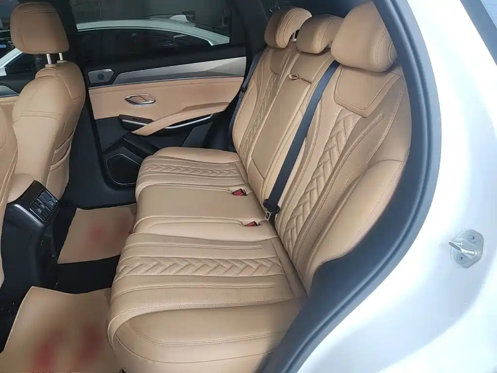 BYD Song L DM-i 2024 — фото 14