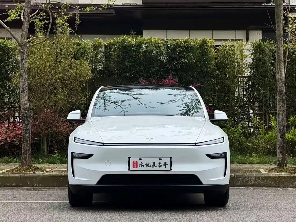 Tesla Model Y 2025 — фото 2