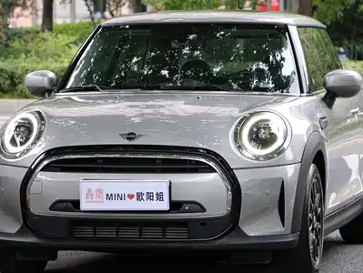 MINI MINI 2024