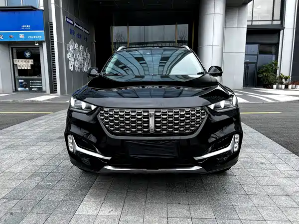 Wey VV6 2020