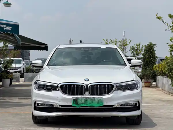 BMW 5 Series New Energy 2018