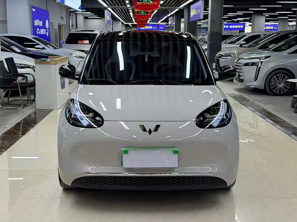 Wuling Bingo 2024