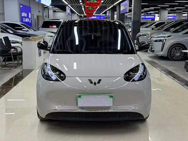 Wuling Bingo 2024