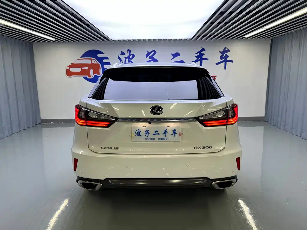 Lexus RX 2019 — фото 19