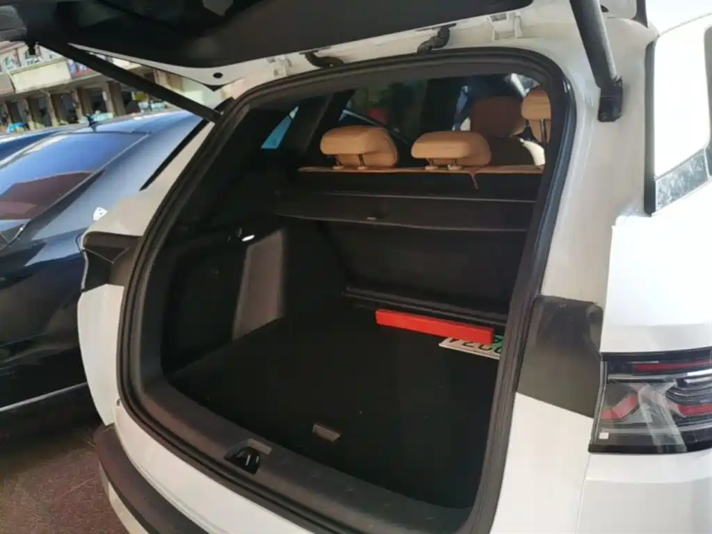 BYD L DM-i 2024 — фото 19