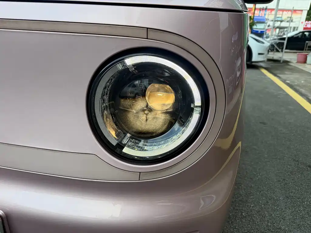 Galaxy Panda 2023