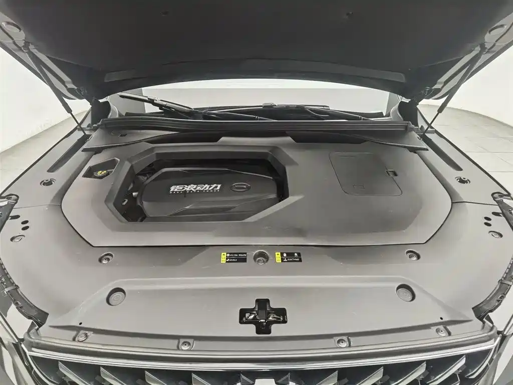 GAC Motor Trumpchi GS8 2022 — фото 6