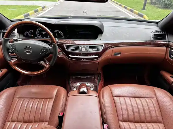 Mercedes-Benz S-Class 2010