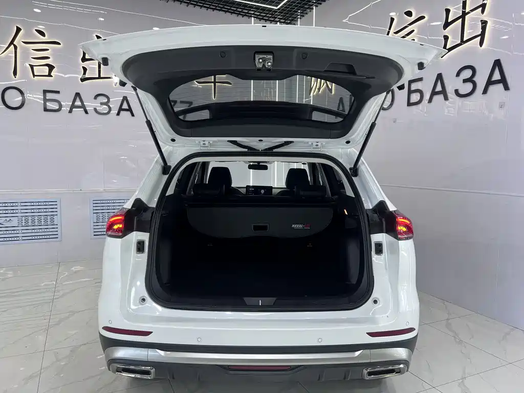 Haval H6 2023 — фото 18