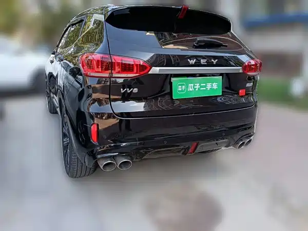 Wey VV6 2020