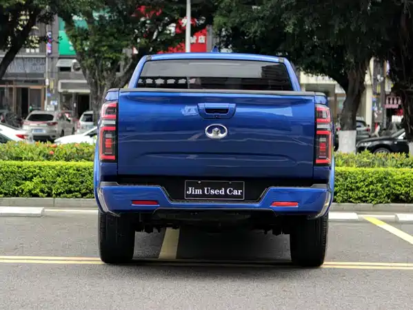 Great Wall Poer 2019
