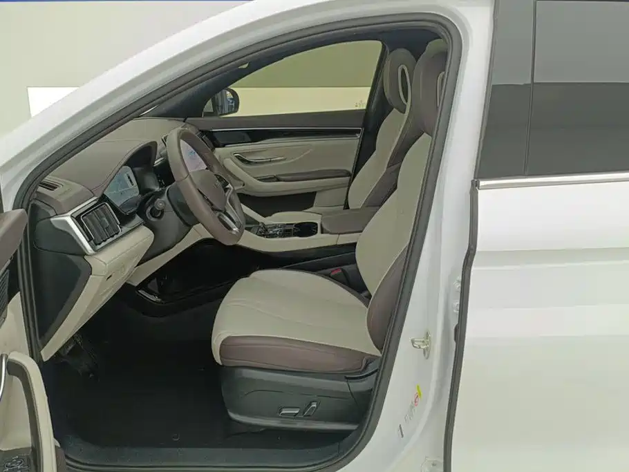 BYD Song PLUS New Energy 2025 — фото 9