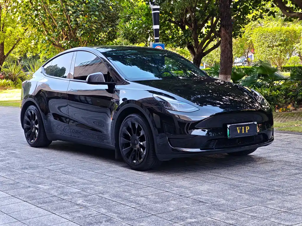 Tesla Model Y 2023 — фото 3