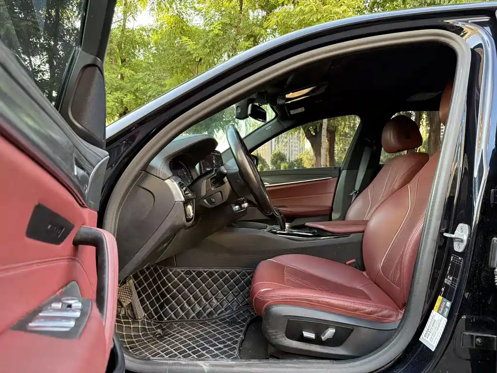 BMW 5 Series New Energy 2021