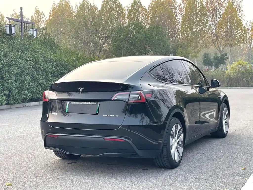 Tesla Model Y 2023 — фото 4