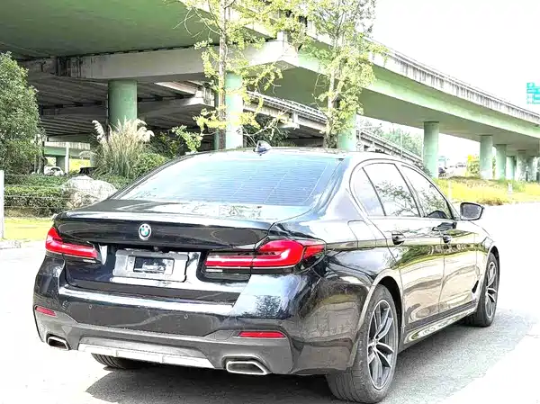 BMW 5 Series New Energy 2022