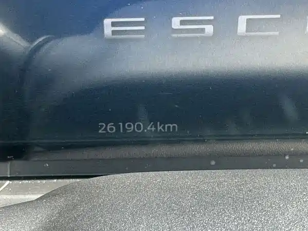 Ford Escort 2022