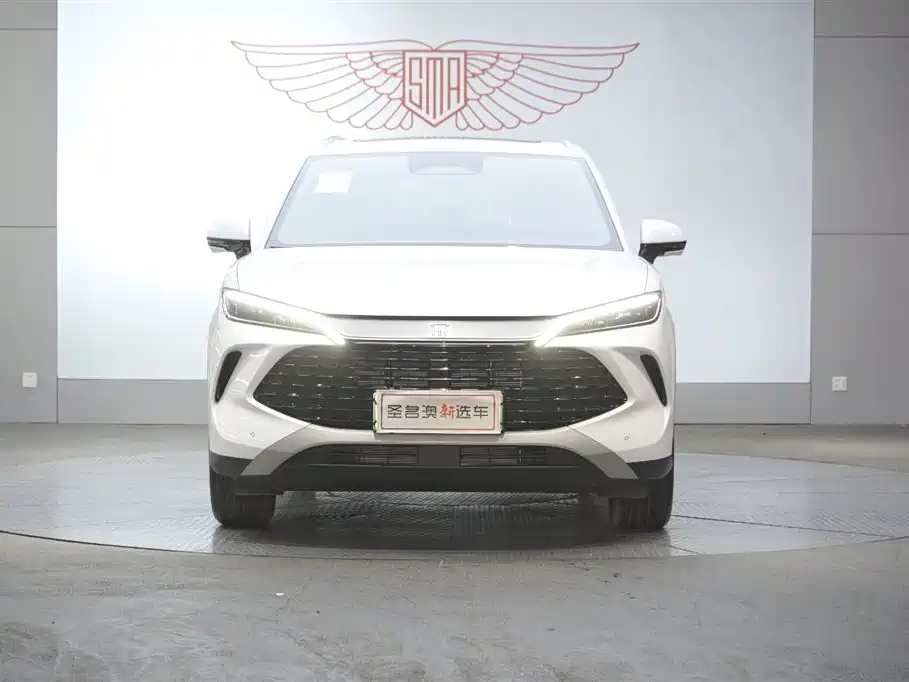 BYD L DM-i 2025 — фото 16
