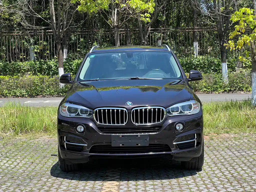 BMW X5 2017 — фото 2