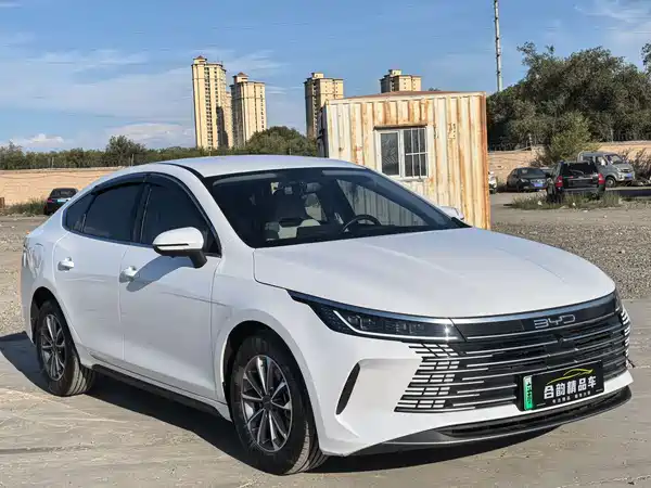 BYD Destroyer 05 2024