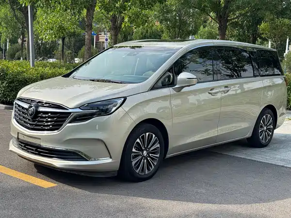 Buick GL8 2020