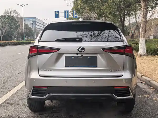 Lexus NX 2020