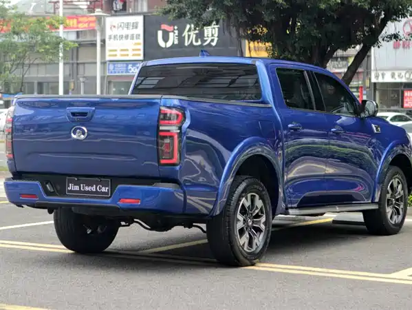 Great Wall Poer 2019