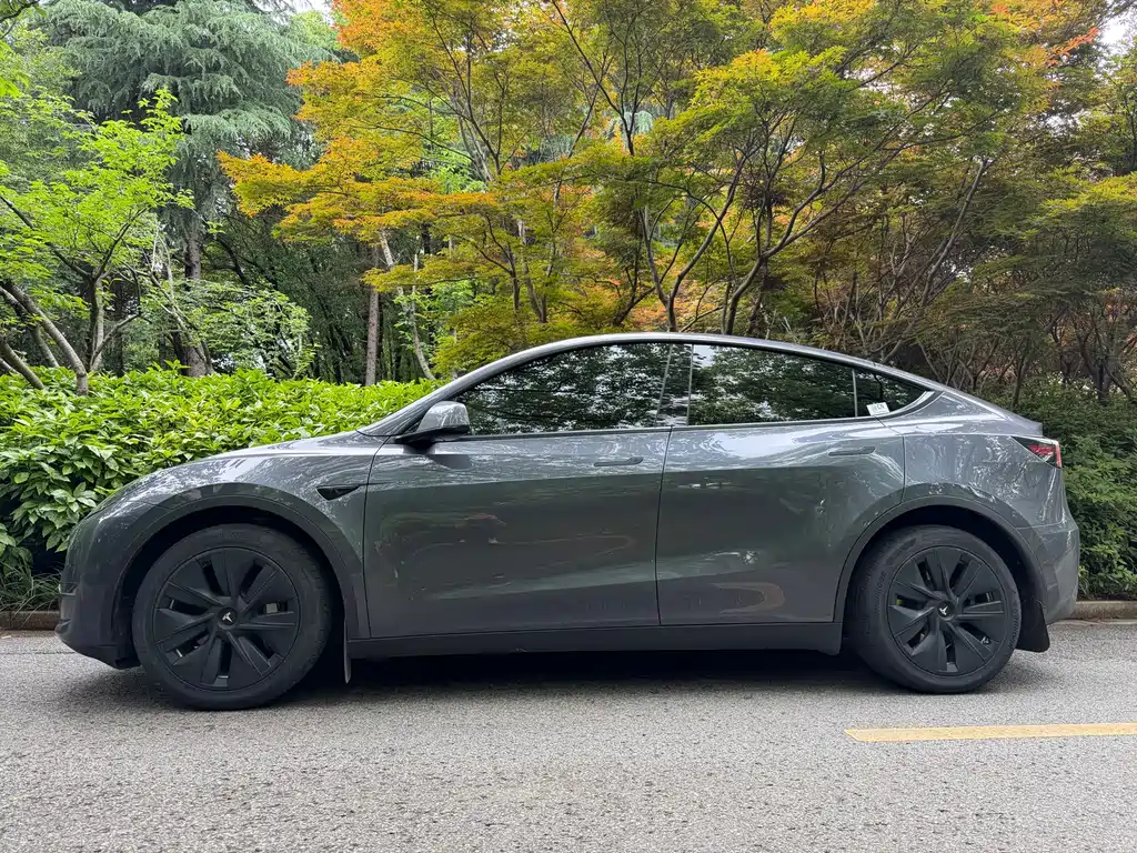 Tesla Model Y 2021 — фото 9