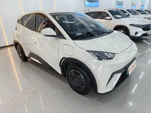 BYD Seagull 2026