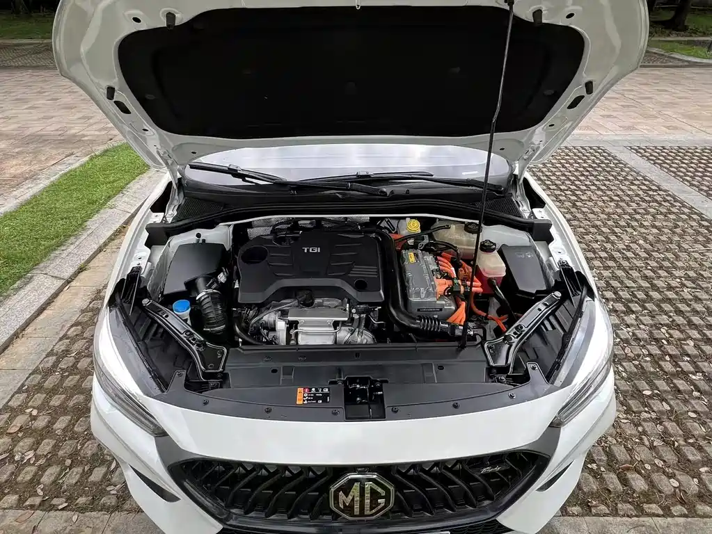 MG 6 2020 — фото 12