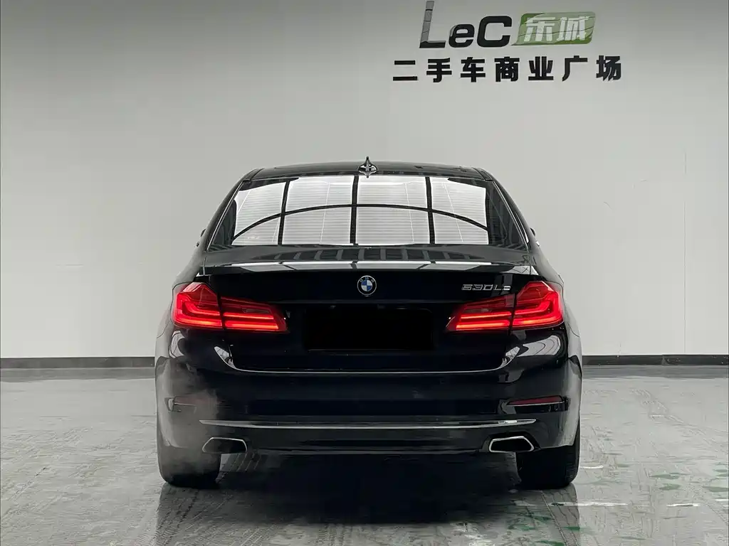 BMW 5 Series New Energy 2019 — фото 5
