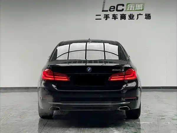 BMW 5 Series New Energy 2019