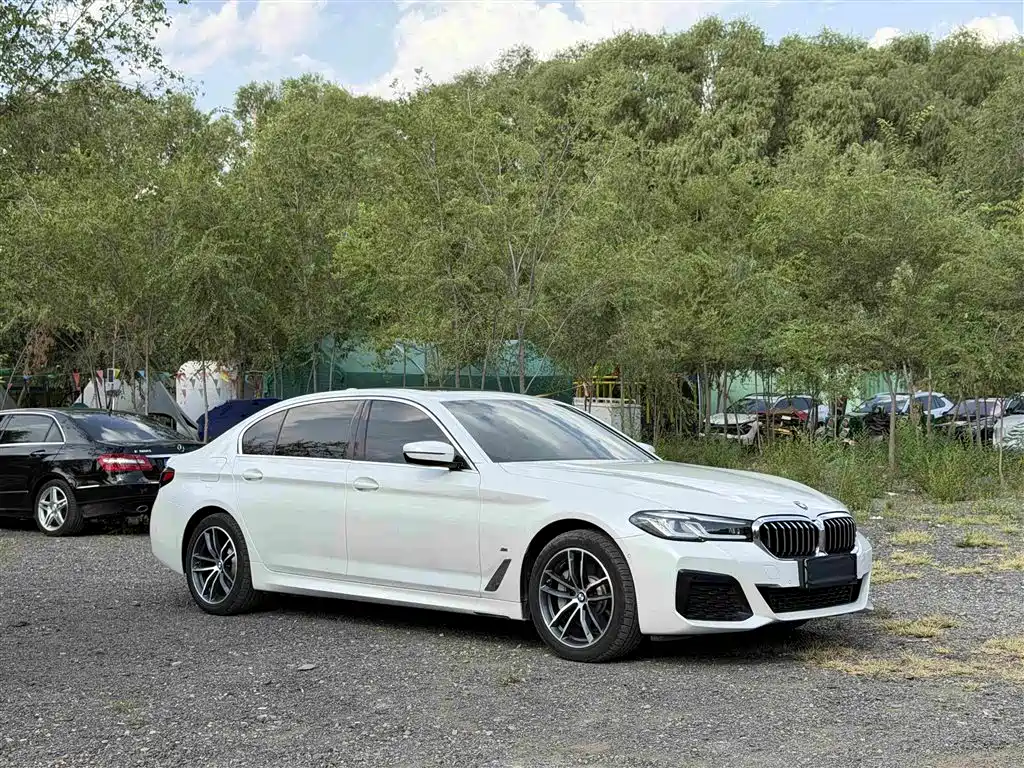 BMW 5 Series New Energy 2020