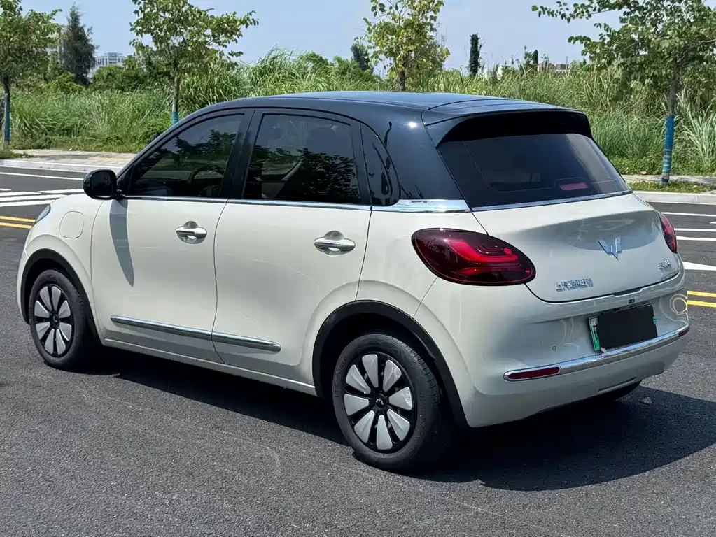 Wuling Bingo 2024