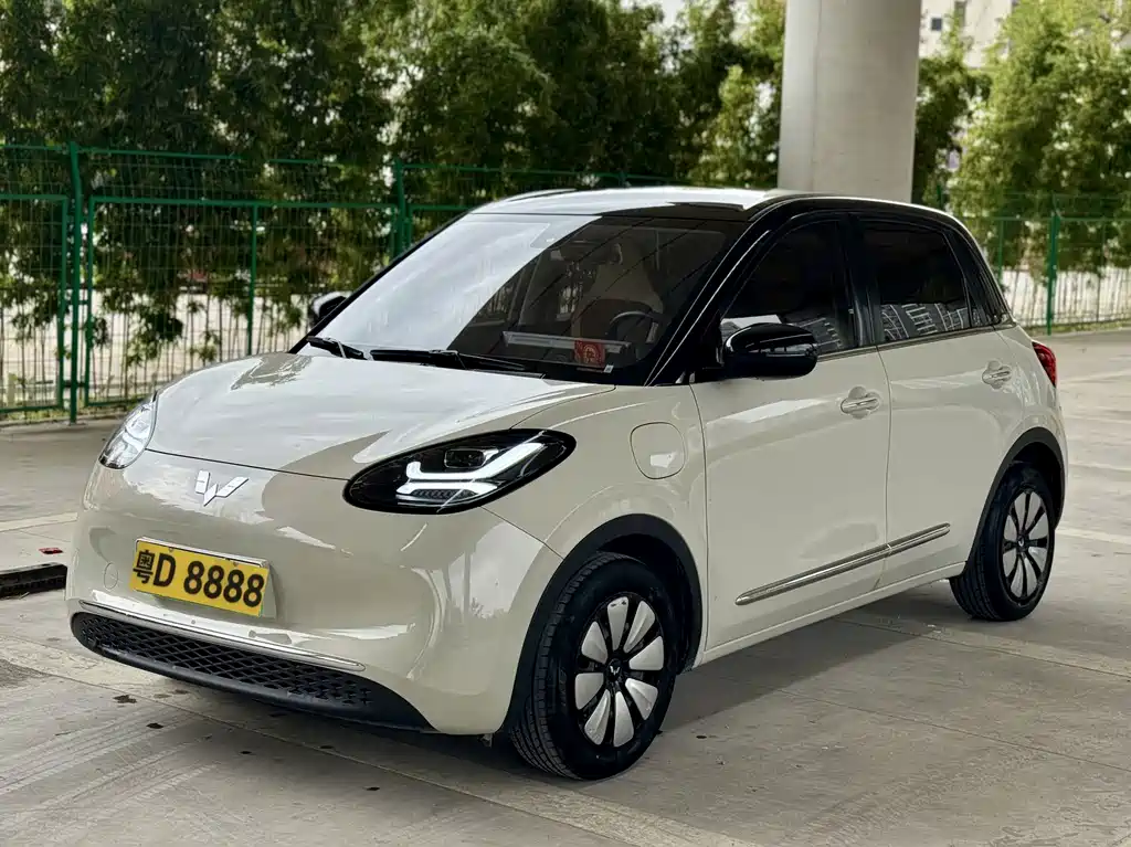 Wuling Bingo 2024