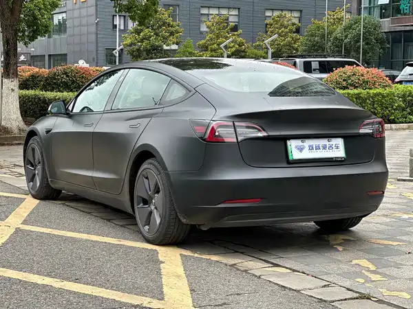 Tesla Model 3 2019